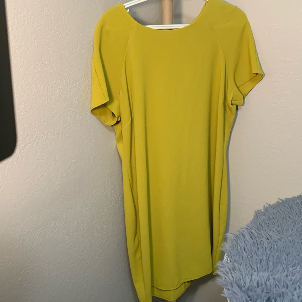M&Co Petite Dress Size 18